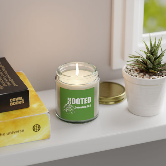 Rooted Scented Candles - Coconut Apricot Wax (4oz & 9oz)