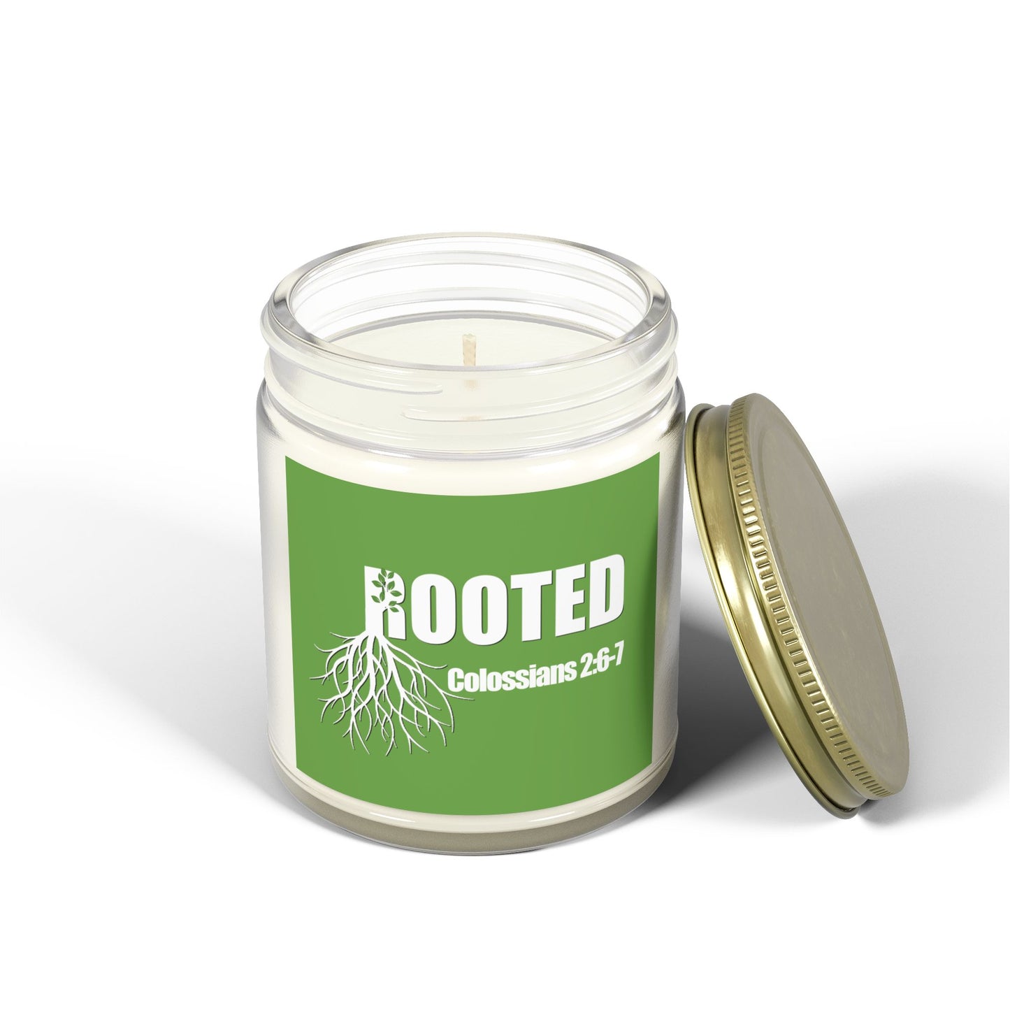 Rooted Scented Candles - Coconut Apricot Wax (4oz & 9oz)