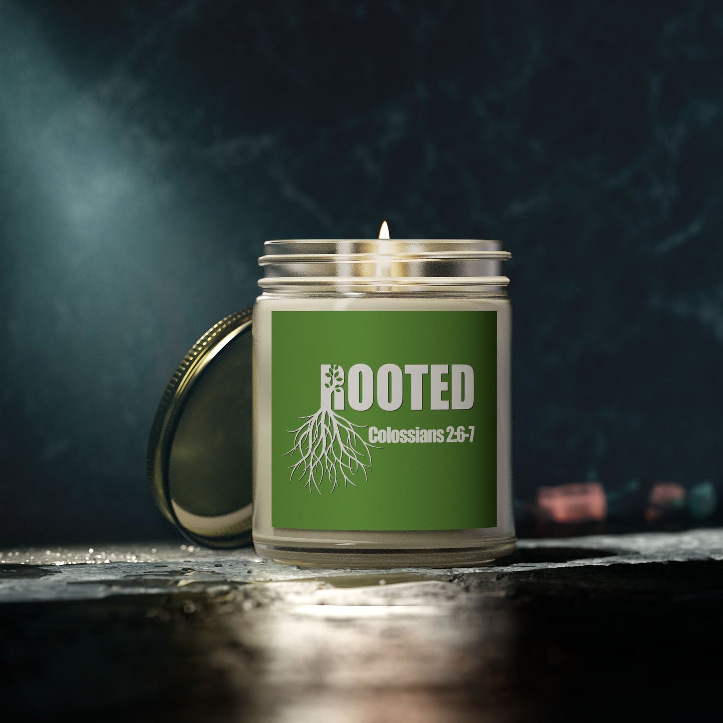 Rooted Scented Candles - Coconut Apricot Wax (4oz & 9oz)