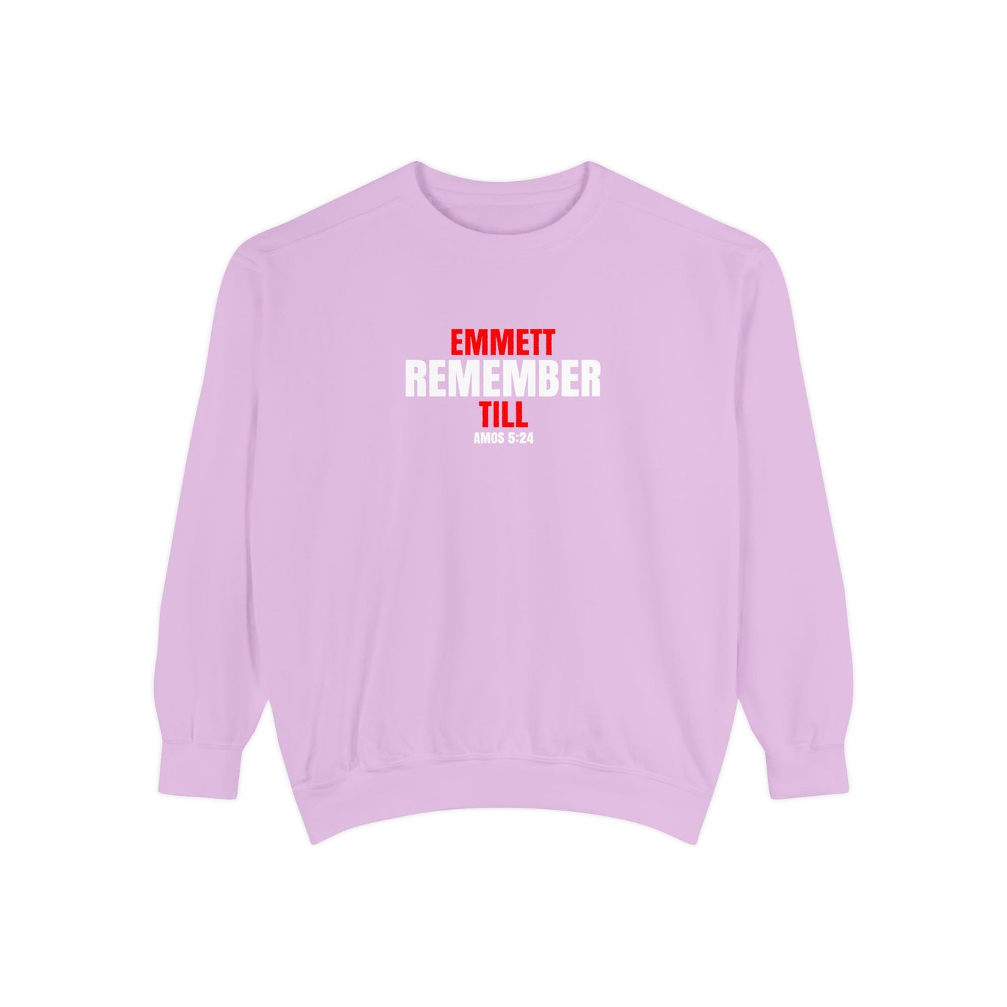The Remember Series-Emmett Till-Champion Sweatshirt