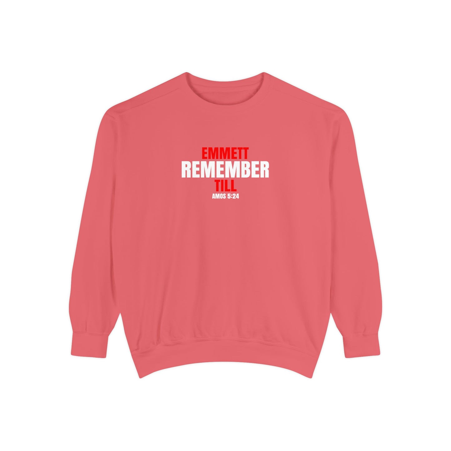 The Remember Series-Emmett Till-Champion Sweatshirt