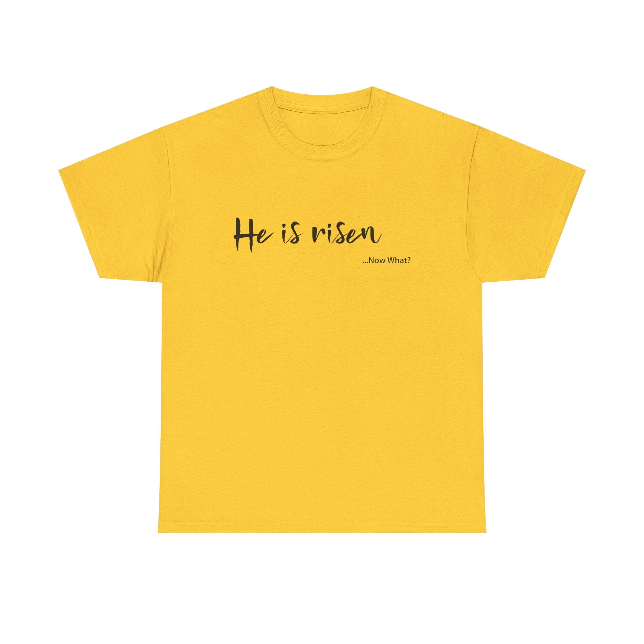 TWC - He Is Risen...Now What?-Unisex Heavy Cotton Tee