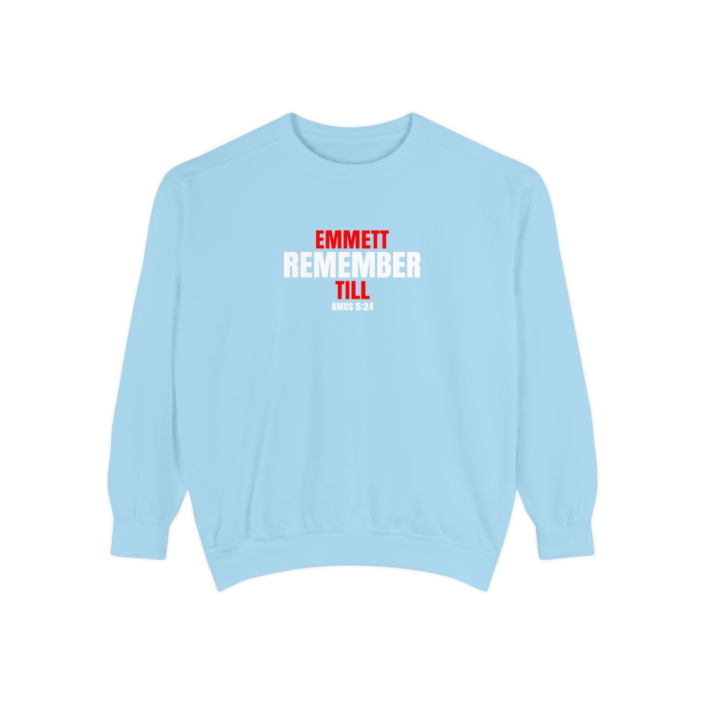 The Remember Series-Emmett Till-Champion Sweatshirt